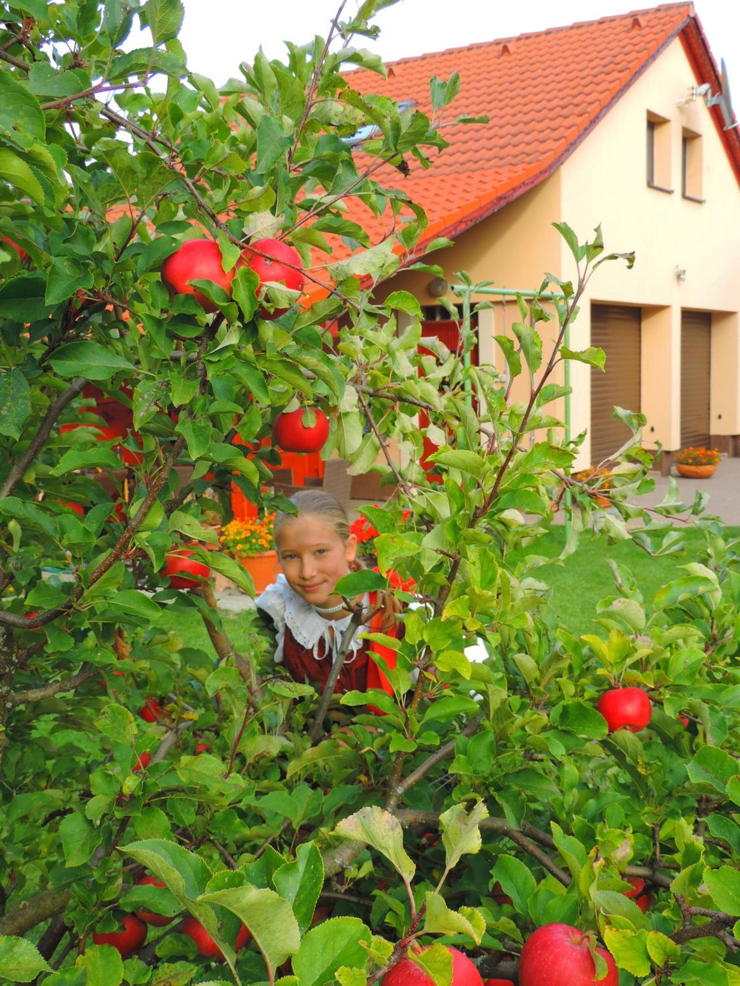 Holiday Home Linda ลิฟตอฟสกีมิคูลาช ภายนอก รูปภาพ